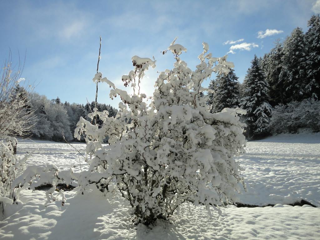 Willa Klieber - Urlaub Am Biobauernhof Millstatt am See Zewnętrze zdjęcie