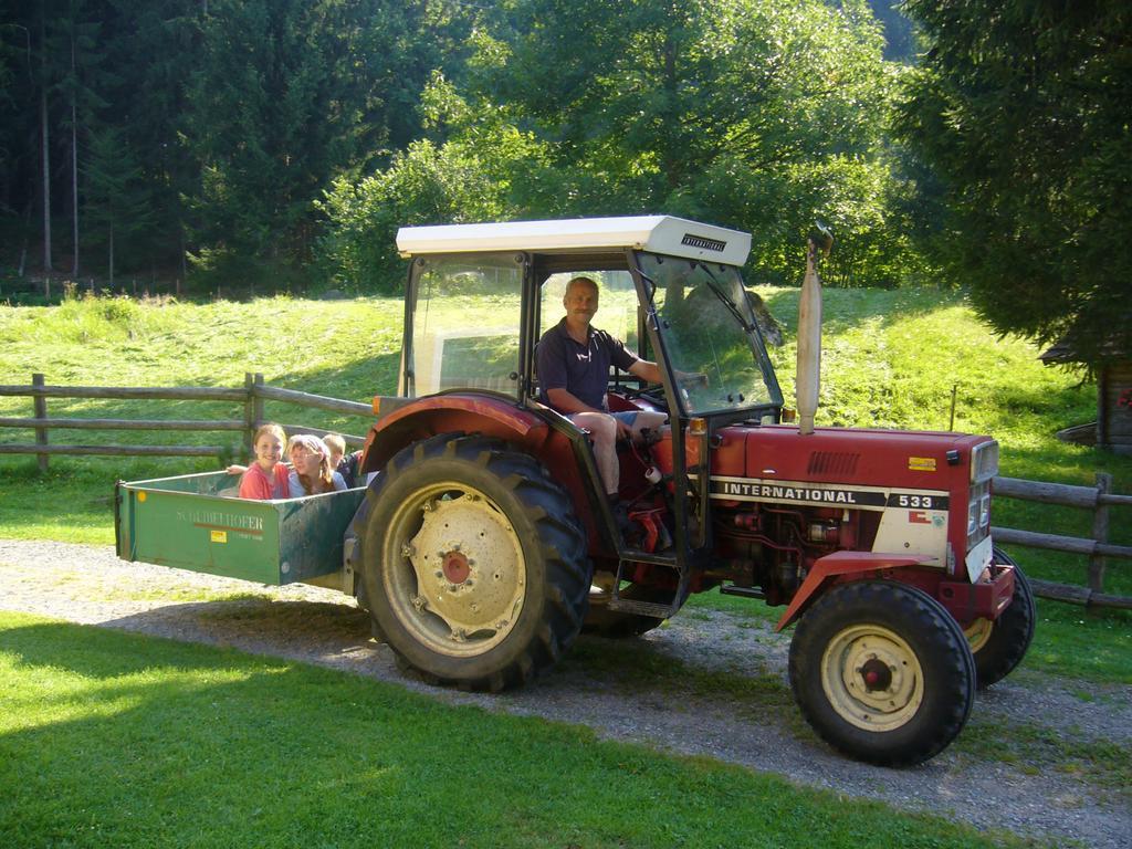 Willa Klieber - Urlaub Am Biobauernhof Millstatt am See Zewnętrze zdjęcie