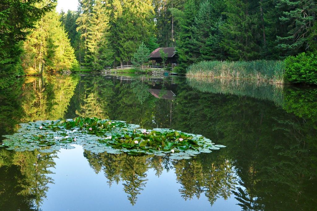 Willa Klieber - Urlaub Am Biobauernhof Millstatt am See Zewnętrze zdjęcie