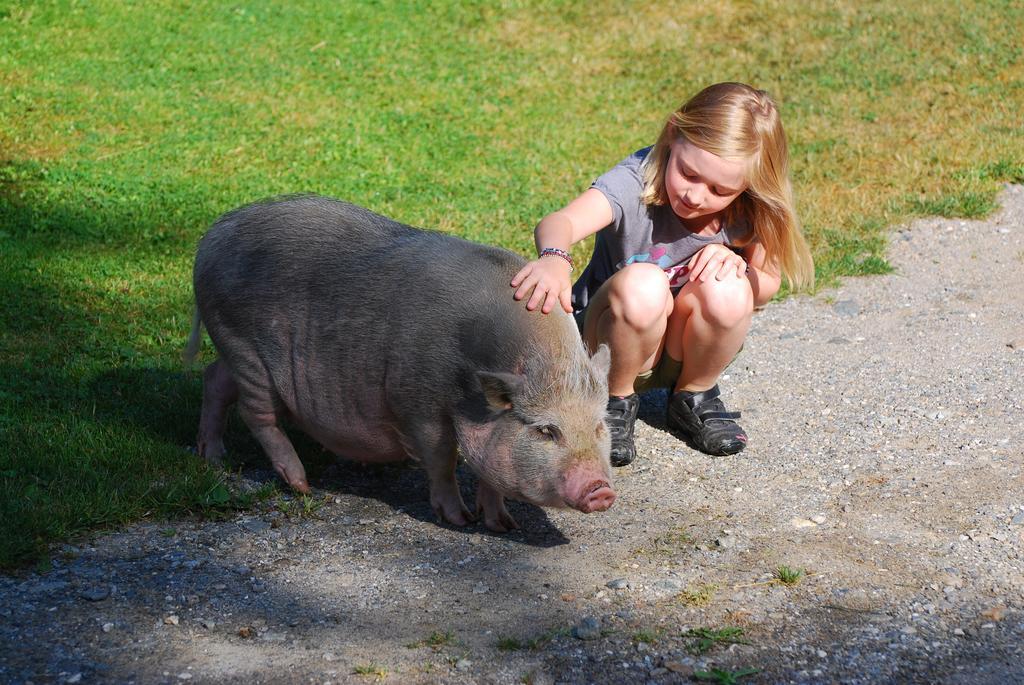 Willa Klieber - Urlaub Am Biobauernhof Millstatt am See Zewnętrze zdjęcie