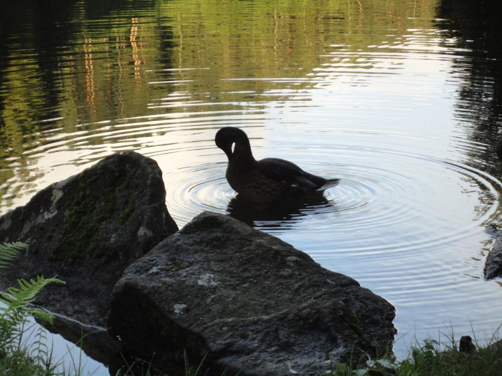 Willa Klieber - Urlaub Am Biobauernhof Millstatt am See Zewnętrze zdjęcie